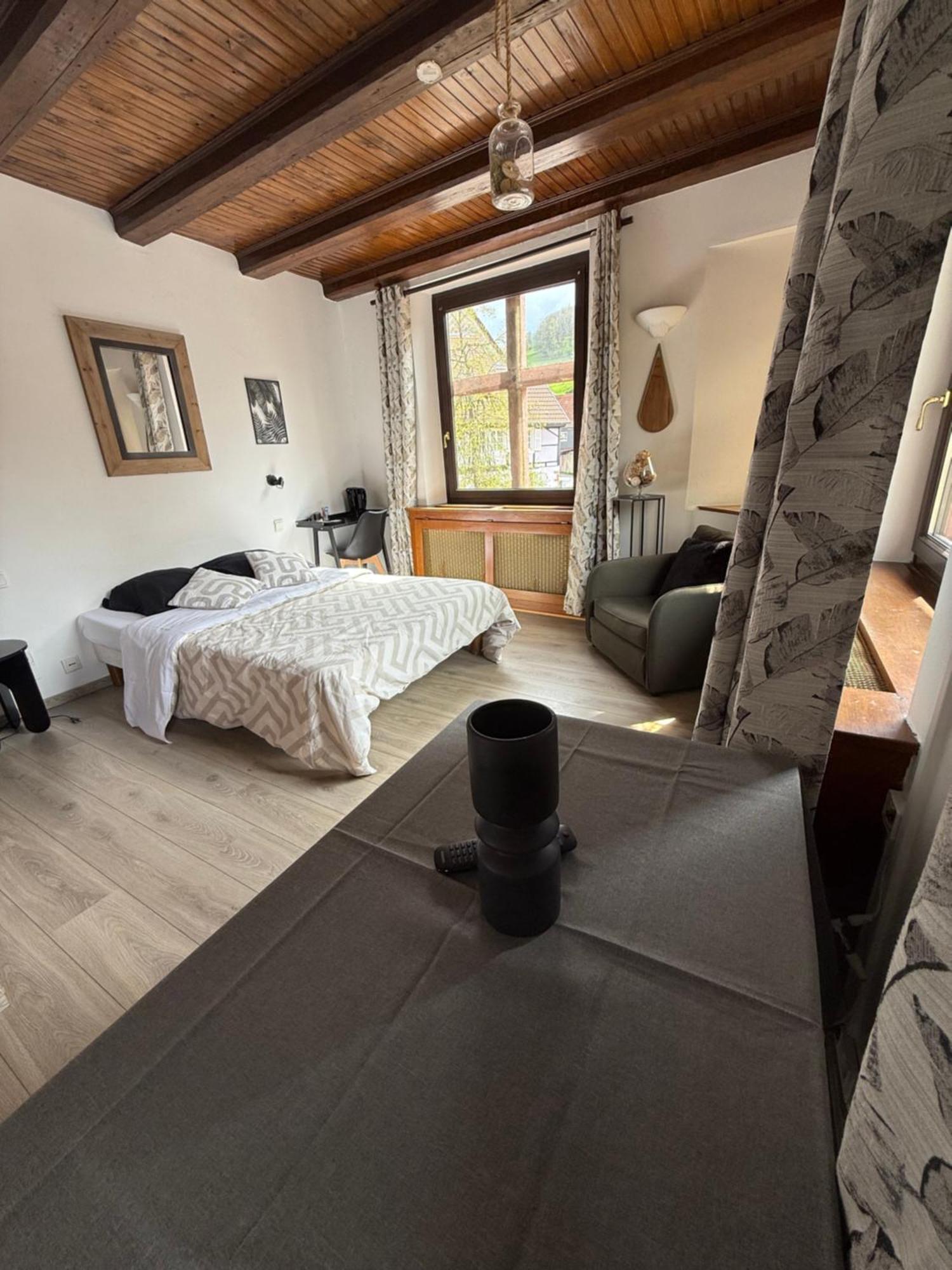 Hotel Wistub Le Passage 圣玛丽欧米讷 外观 照片